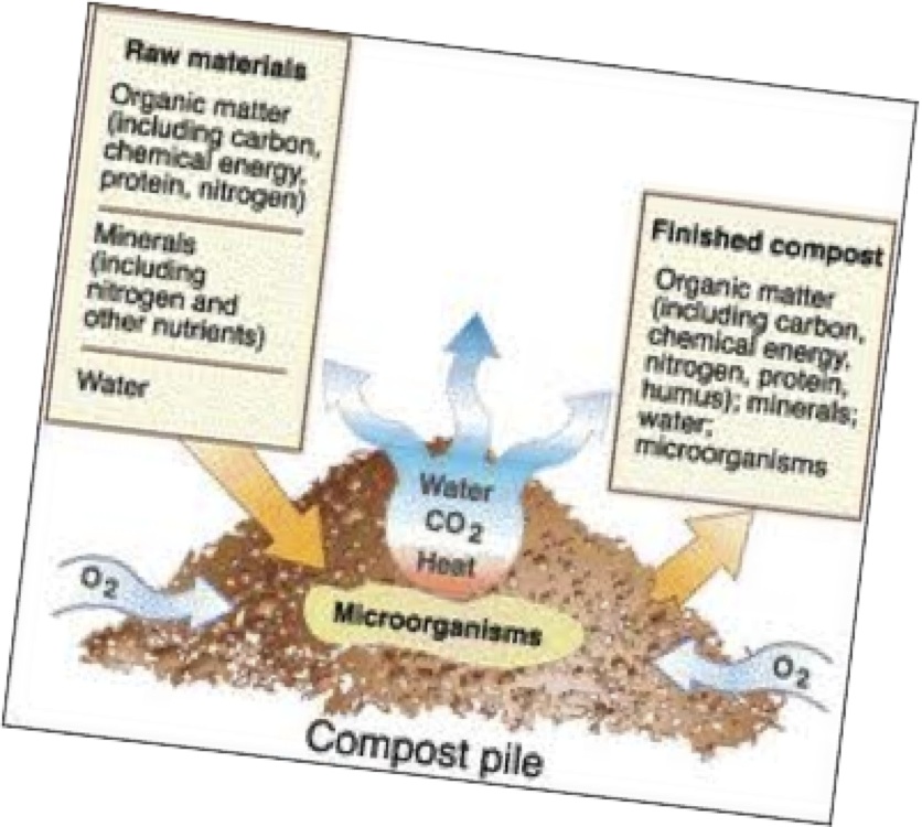 Benefits of composting   volusia county, florida